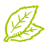 Gelv